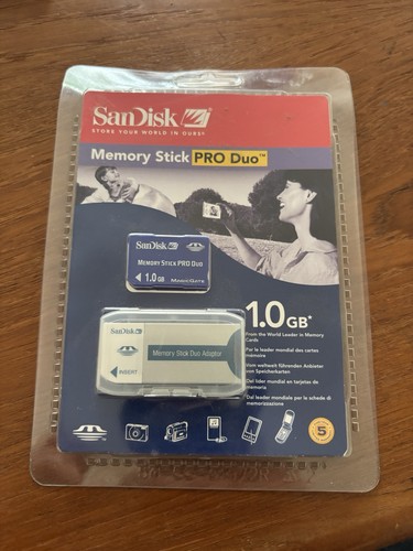 Sandisk 1gb memory - sandisk, duo