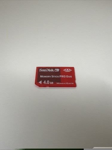 Scheda sandisk memory - 4,