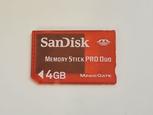 Scheda memoria sandisk gb - scheda,