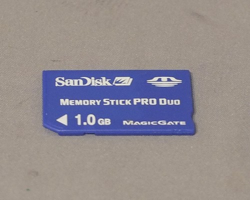 Sandisk 1gb memory - 1gb,