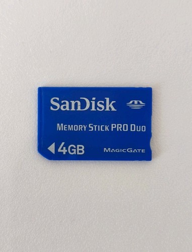 Scheda memoria sandisk - scheda, di