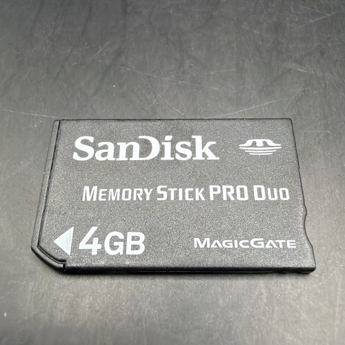 Scheda sandisk memory - scheda,