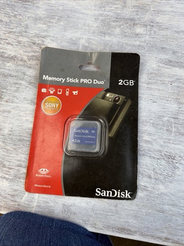 Sandisk 2gb memory stick - memory,